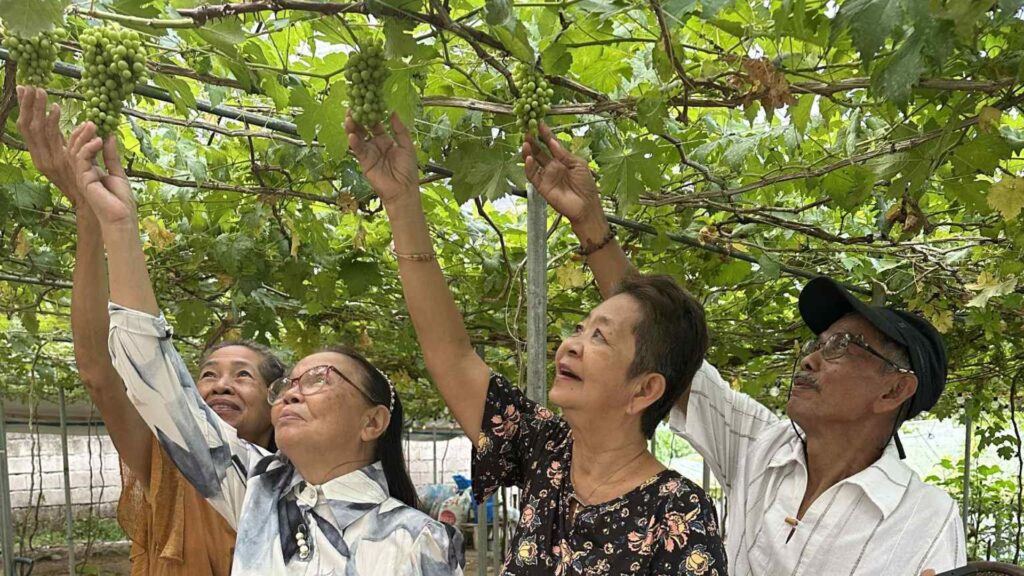 tourist spot in Matnog