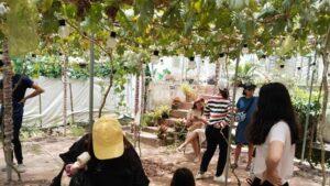 Tourist Spot Near Bulusan