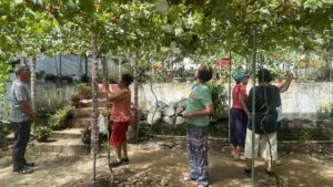 family restaurant in Irosin