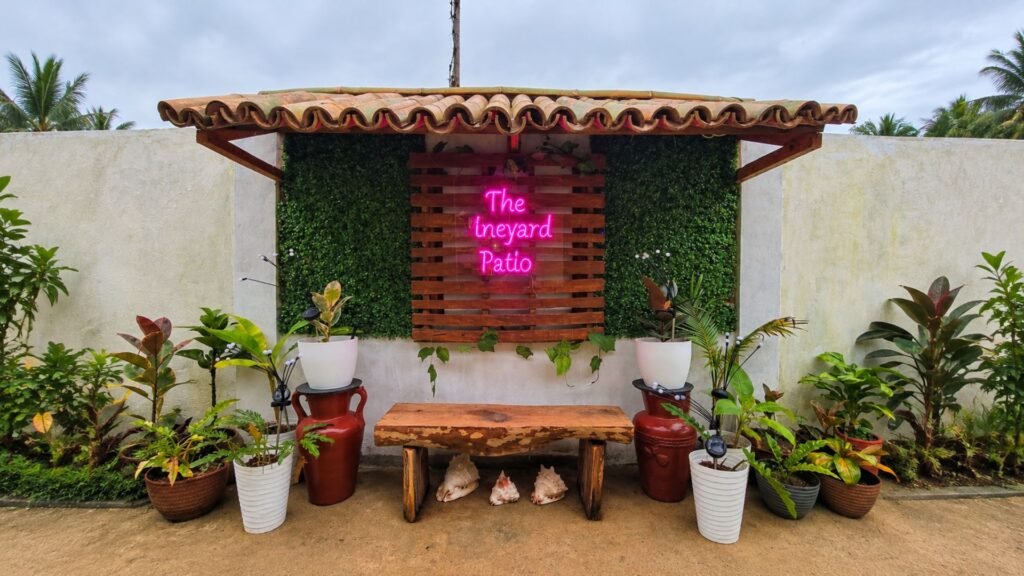 Where to Eat Near Balading Beach The Vineyard Patio Has You Covered