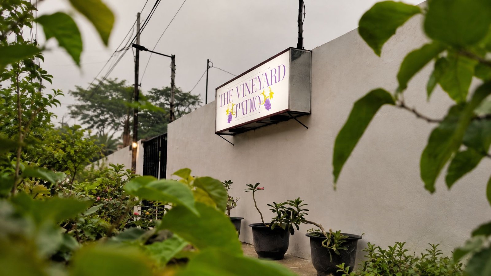 Where to Eat Near Maharlika Highway Matnog The Vineyard Patio Experience